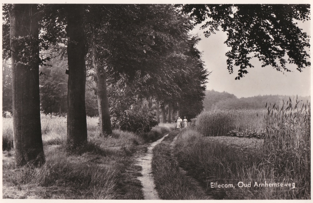 Wandelen langs de Oude Arnhemseweg - 1955