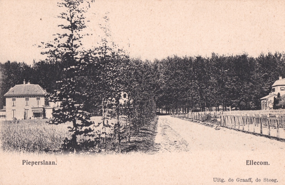 Pieperslaan - 1905