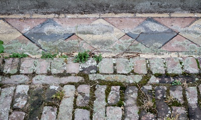 Detail tuin