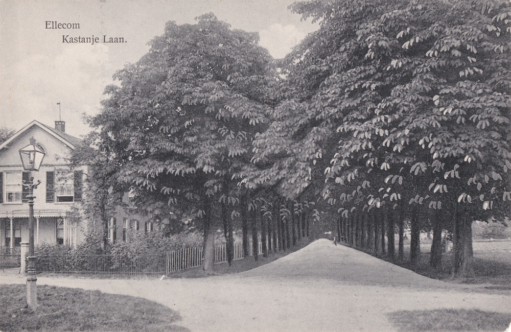 Kastanjelaan als zandweg - 1911