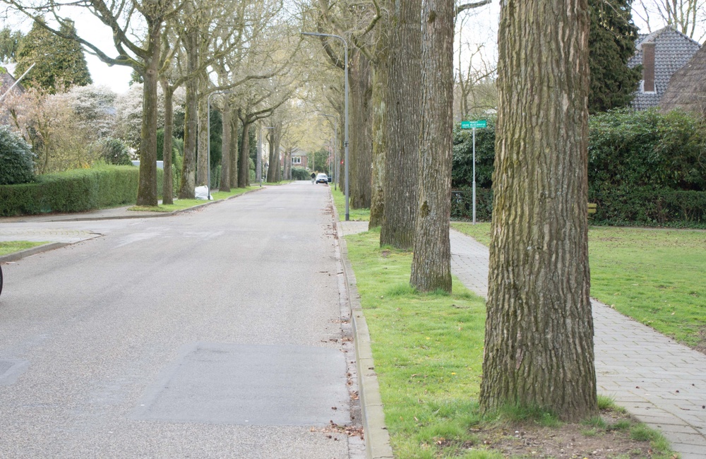Hogeweg - 2016