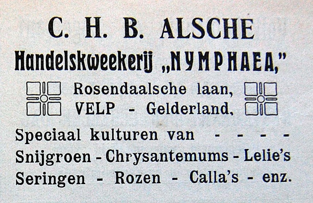 Advertentie Alsche - ca 1900