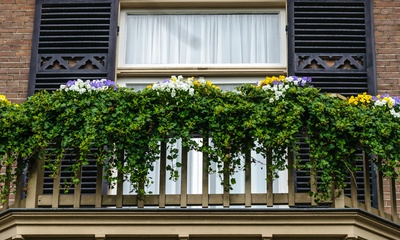 Villa nr 55