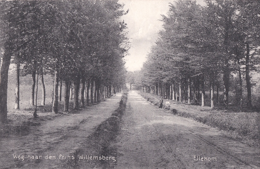 Weg naar Prins Willemberg - 1914