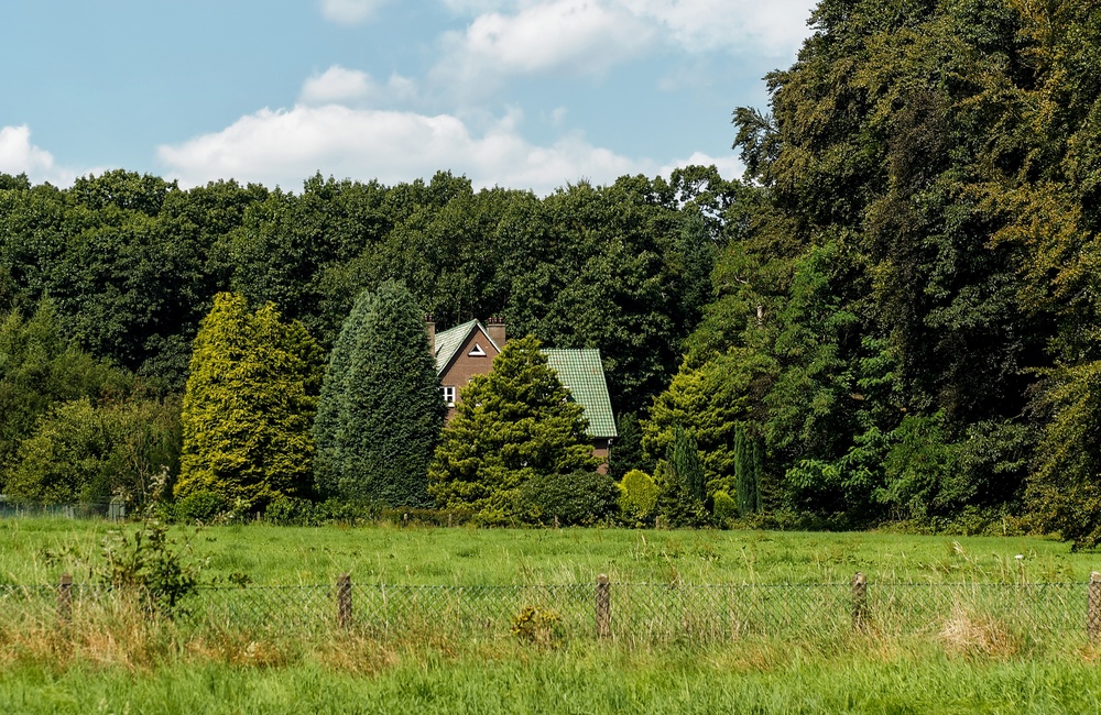 Omgeving Villa Dordtwijck - 2016