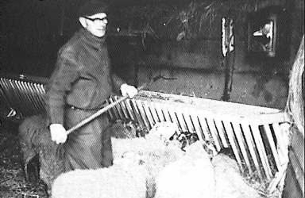Veluwezoom/ Schaapskooi: interieur (1964)