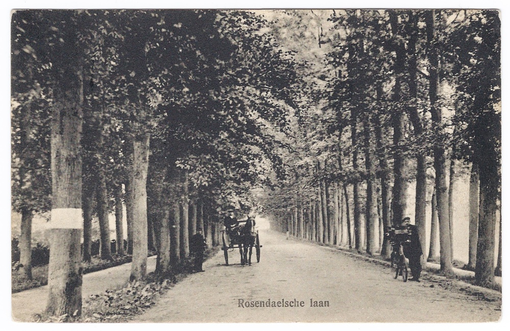 Rozendaalselaan - 1910