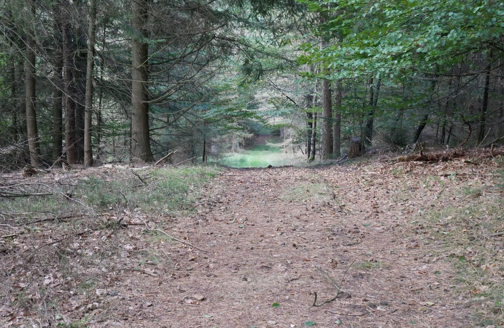 Lanen in het Veld - 2016