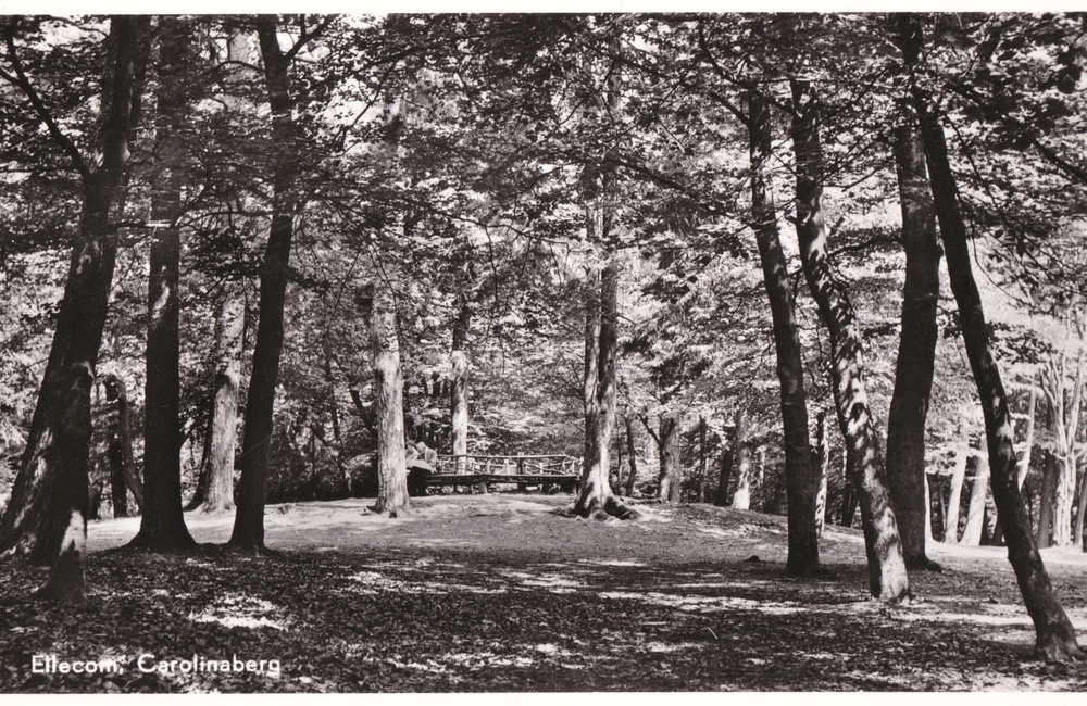 Carolinaberg - 1958
