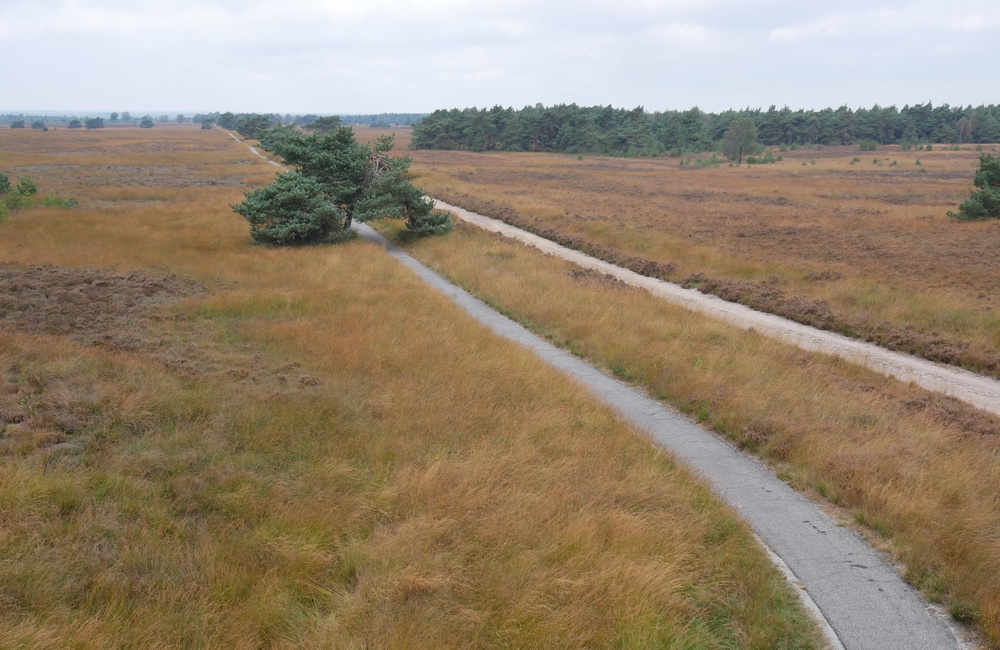 Koningsweg over het Rozendaalse Veld - 2016