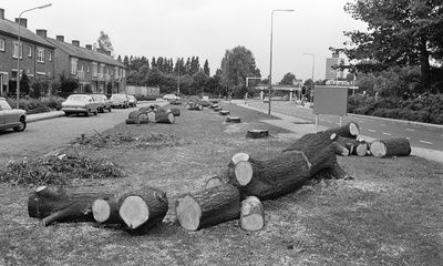 Larensteinselaan Velp