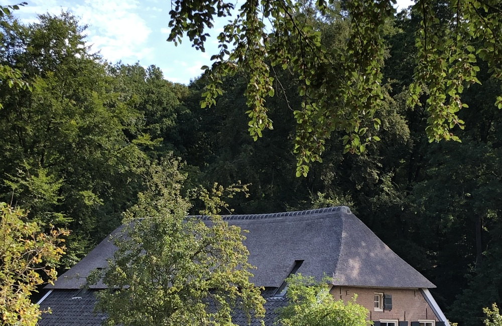 Boerderij Wijlhuizen 2026
