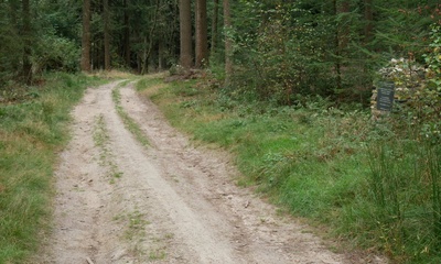 Middachterveld