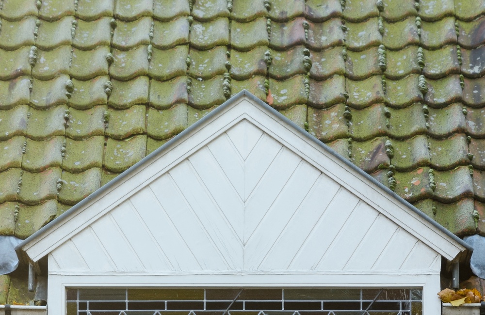 Glas in lood bovenlicht etalage 2016