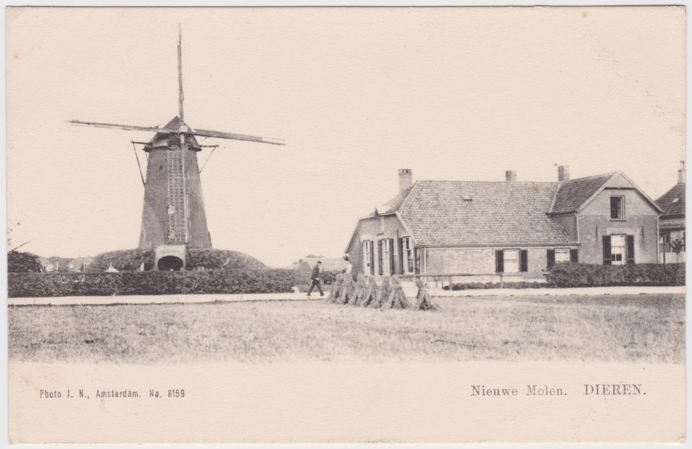 Nieuwe Molen  en molenaarshuis - 1900/1910