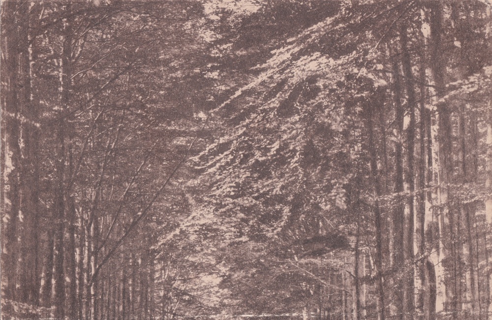 Middachterallee - 1917