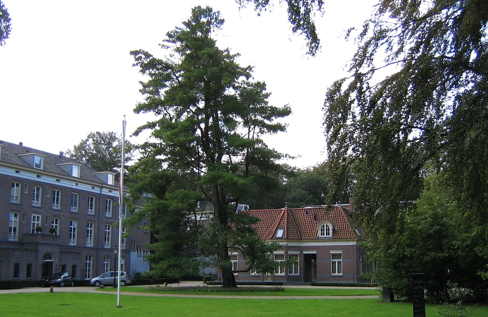 Landgoed Laag-Soeren voormalig Bethesda, links het badhuis (2009)
