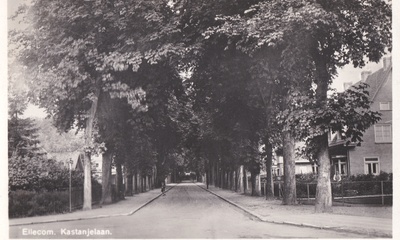 Kastanjelaan Ellecom