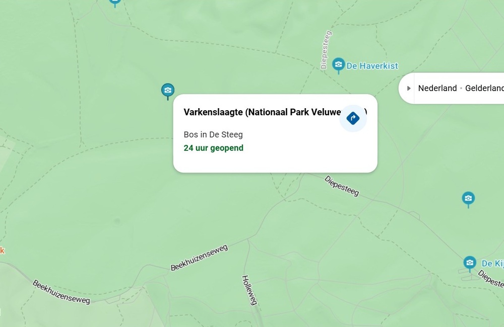 Varkenslaagte