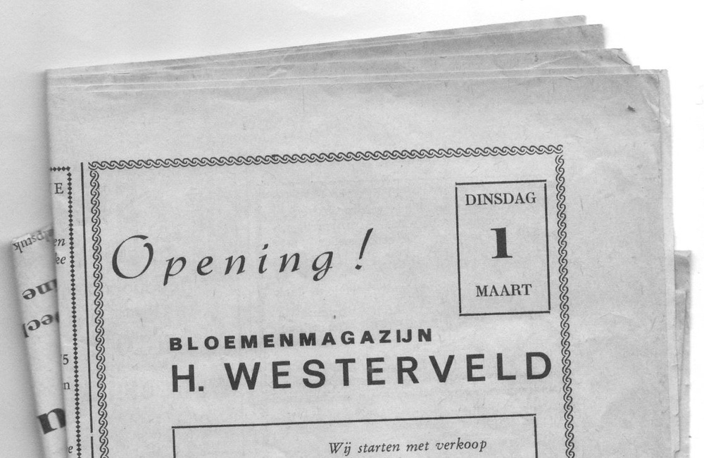 Westerveld1 HB