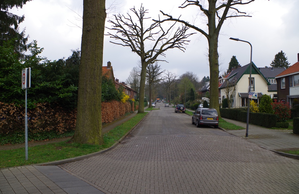 Biesdelselaan