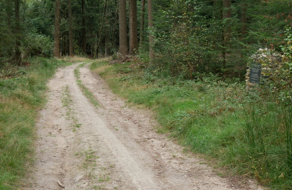 Het Veld - 2016