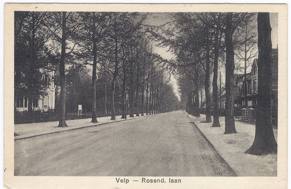 Rozendaalselaan - 1905