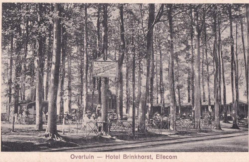 De overtuin van hotel Brinkhorst - 1912
