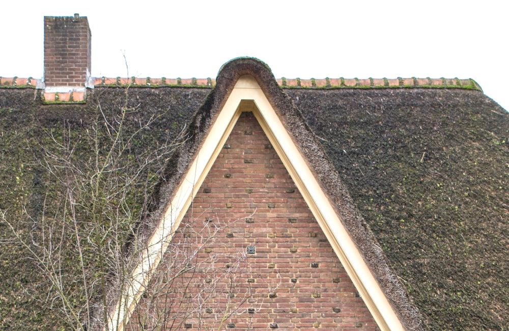 Detail voorgevel 2016