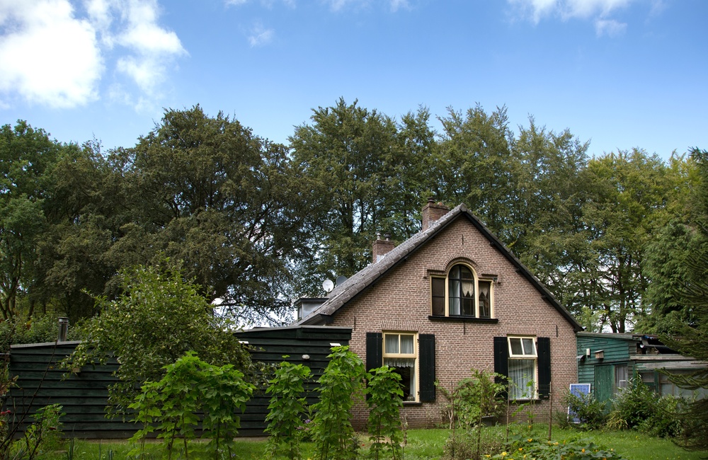 Achterzijde - 2016