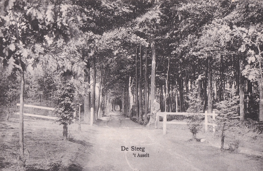 Bosgezicht "t Asselt -  1921