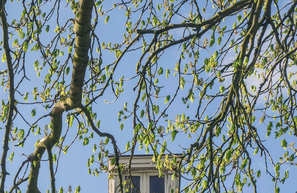 Detail gevel en geprofileerde kroonlijst Villa Schoonoord - 2016