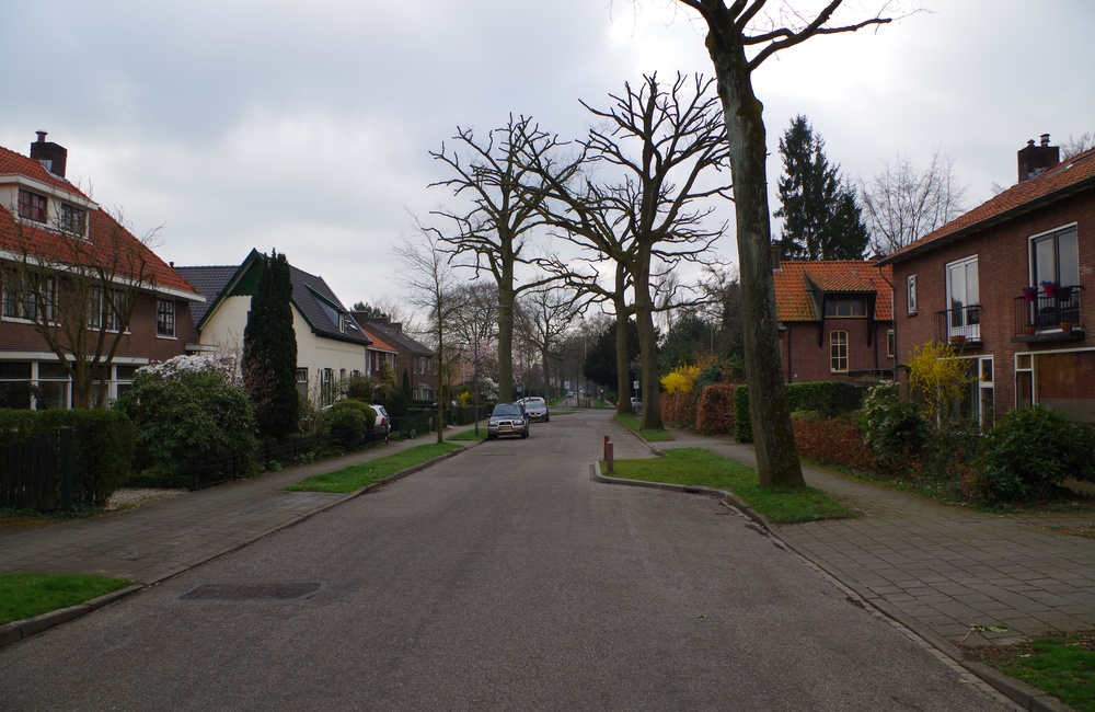 Biesdelselaan