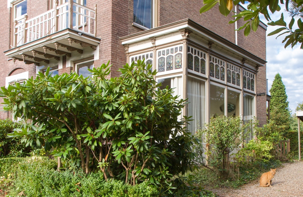 Detail gevel met rijke versieringen - 2016
