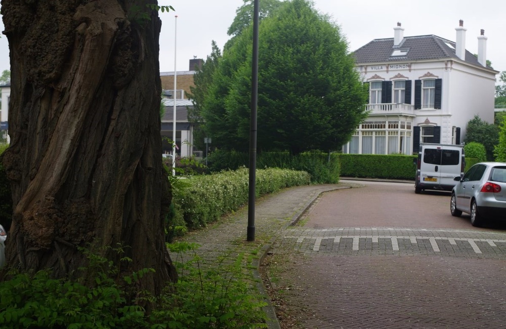 Avelinghstraat - 2016