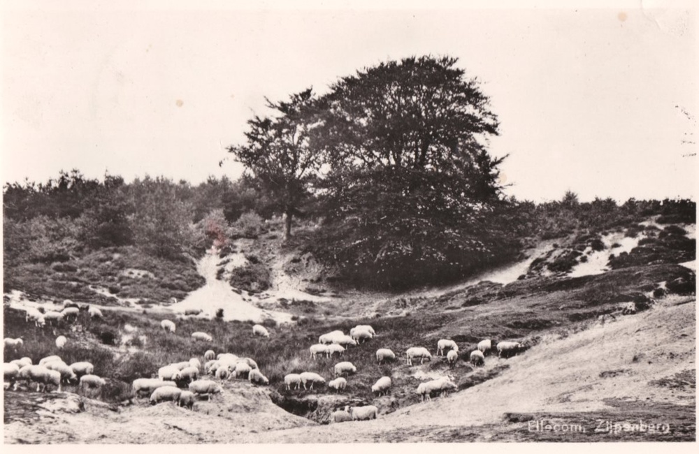 Zijpenberg 1947