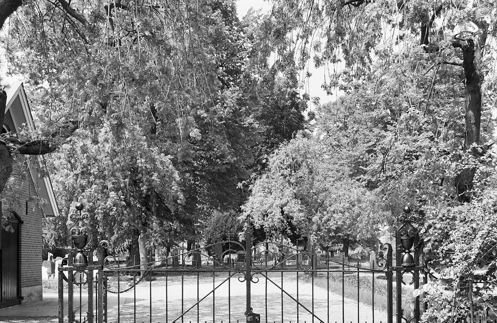 Oude Algemene begraafplaats, Toegangshek (1986)