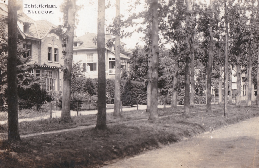 Hofstettenlaan met huizen Eben Haezer en Dennenoord - 1916
