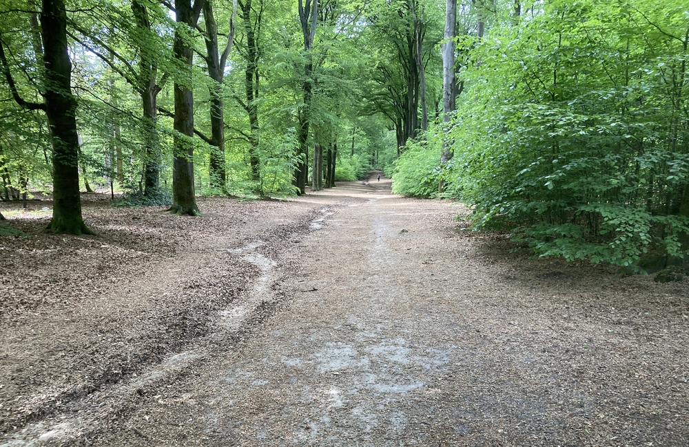 Oostlaan 4