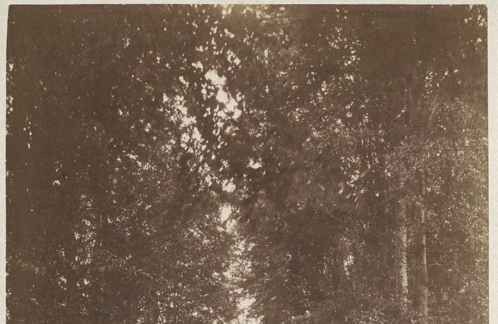 Tolhuis - 1891