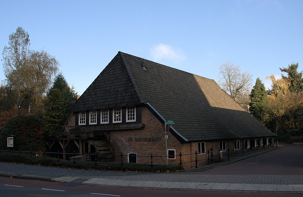 Van Lennepsmolen, bovenslagrad (2009)