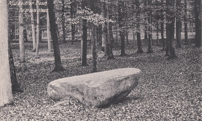 Tafelsteen Middachterbos