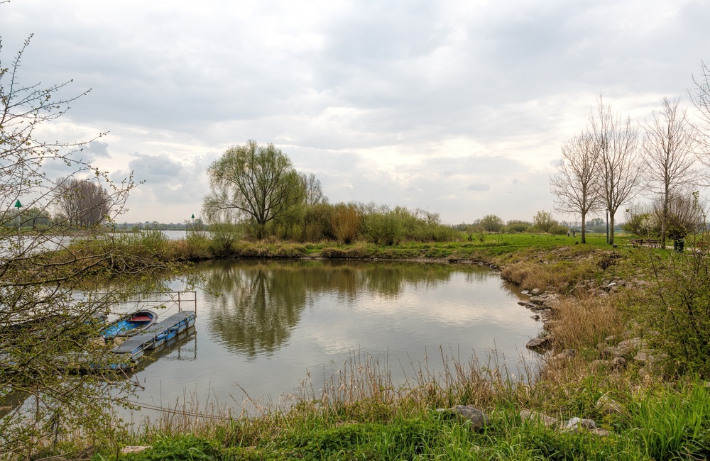 Aanlegsteiger bij de Veerstoep Dieren - 2016