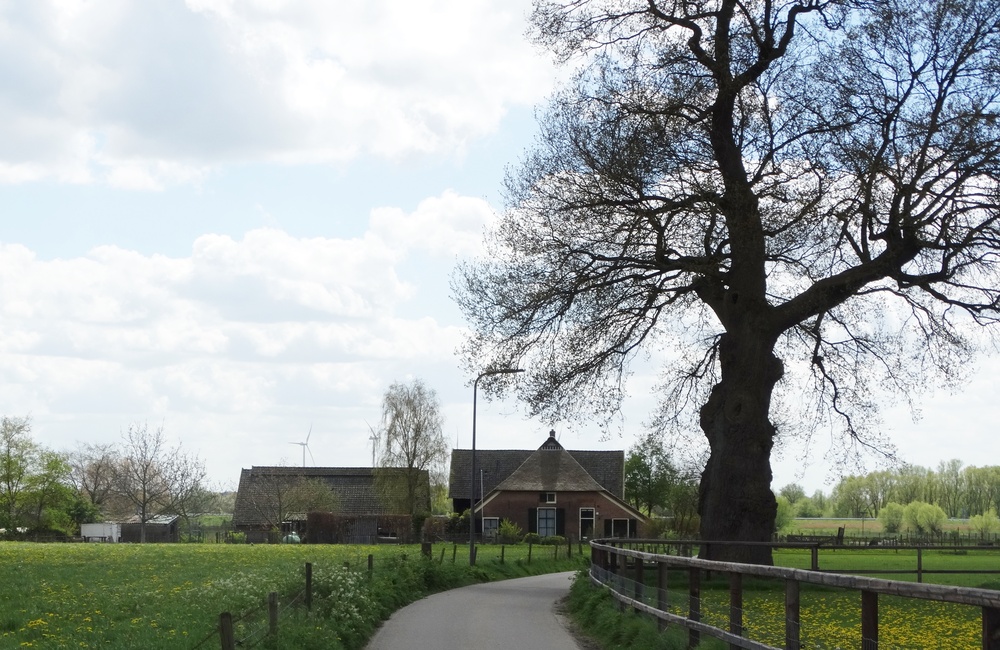Roggeweg vanaf Oranjeweg spoorwegovergang - 2016