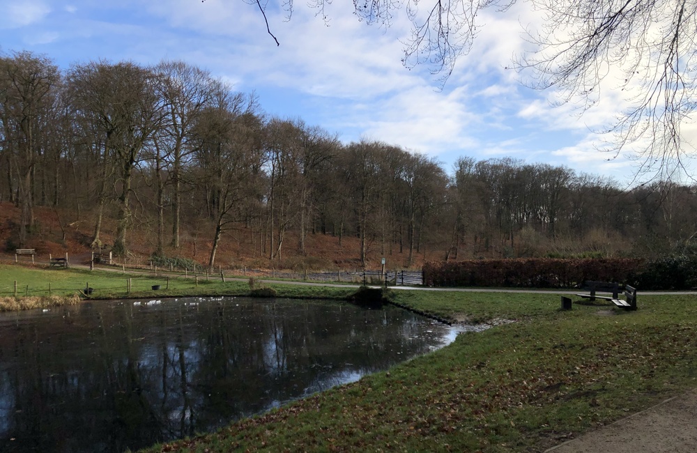 De vroegere molenvijver van De Hollander