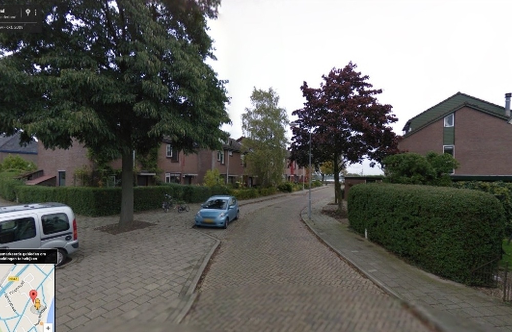 Schoolpad, Dieren
