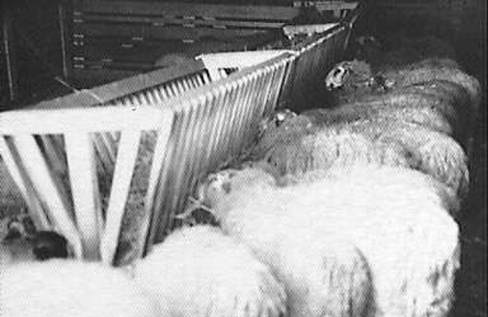 Veluwezoom/ Schaapskooi: interieur (1964)