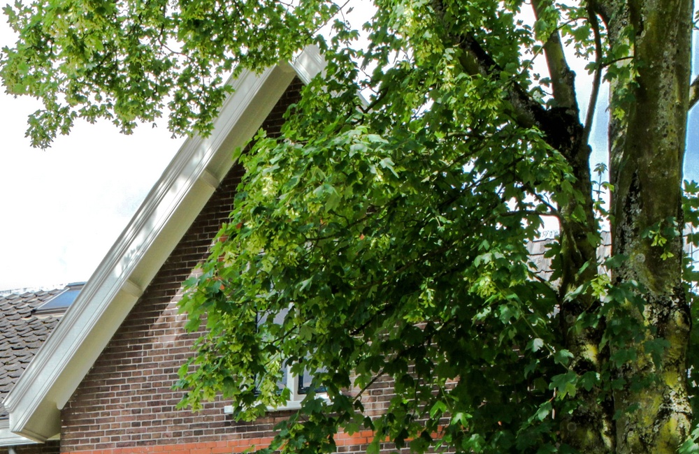 Linkerzijgevel Jonkvrouw Brantsenschool - 2016