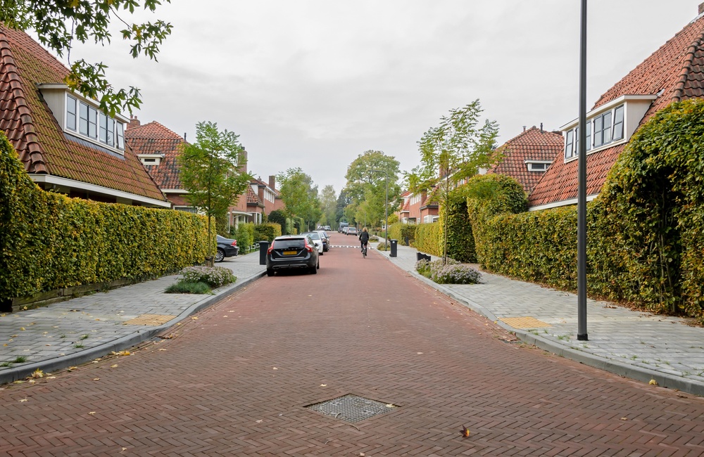 Van Pallandstraat 2016