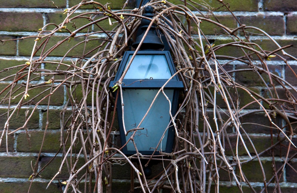 Detail voorgevel voormalige Apotheek - 2016